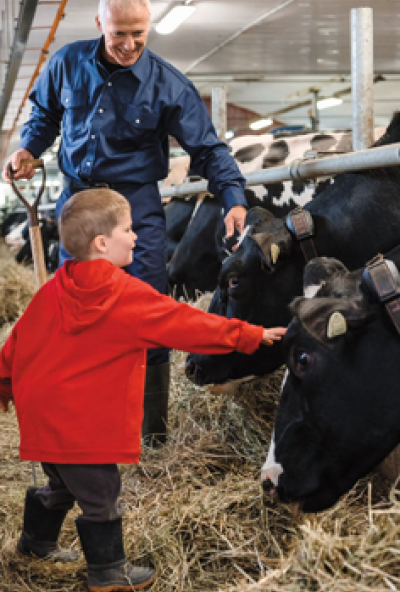 Producteurs laitiers et ses animaux