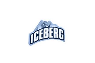 Logo Iceberg