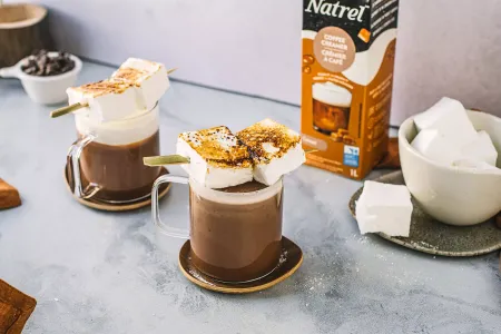 Chocolat Chaud Caramel Salé Natrel