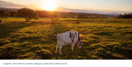 Ferme Morine
