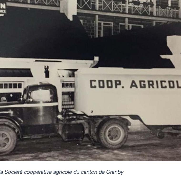 Le rôle clé des coopératives