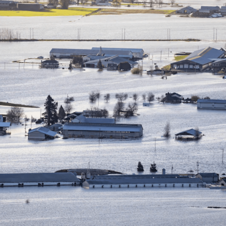 PHOTO : RADIO-CANADA / BEN NELMS