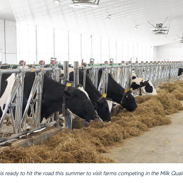 The Club of Excellence is ready to hit the road this summer to visit farms competing in the Milk Quality category.