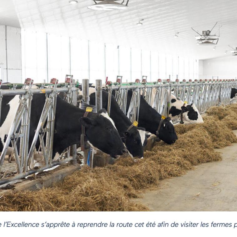 La tournée du Club de l’Excellence s’apprête à reprendre la route cet été afin de visiter les fermes pour le volet Qualité du lait.