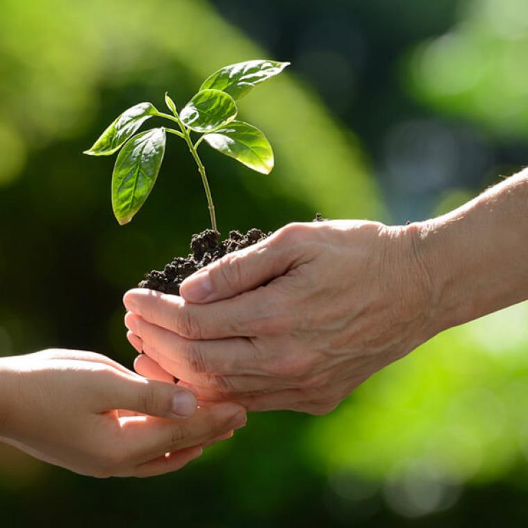 Environnement