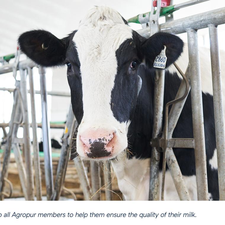 Milk Quality: Help Always at Hand