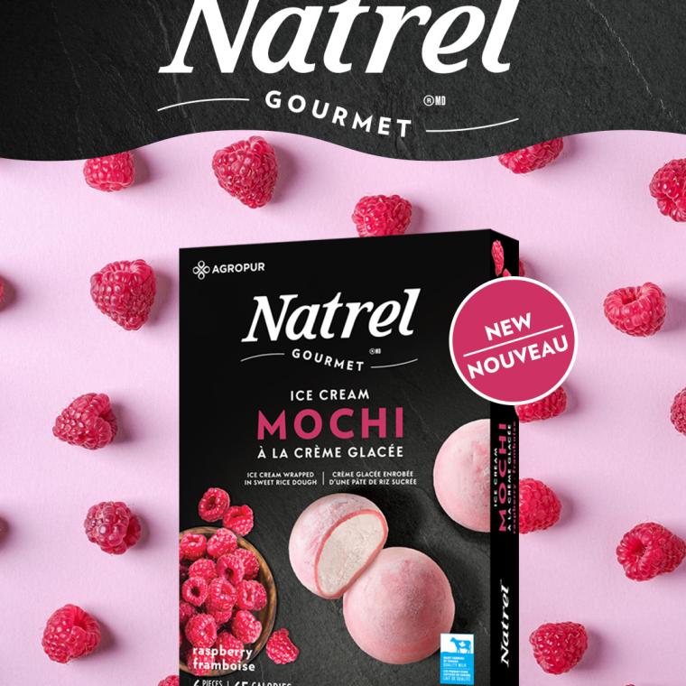 Discover our new Raspberry Mochi flavor from Natrel Gourmet