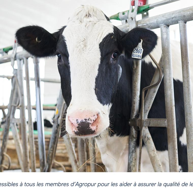 Qualité du lait : de l’aide toujours à portée de main
