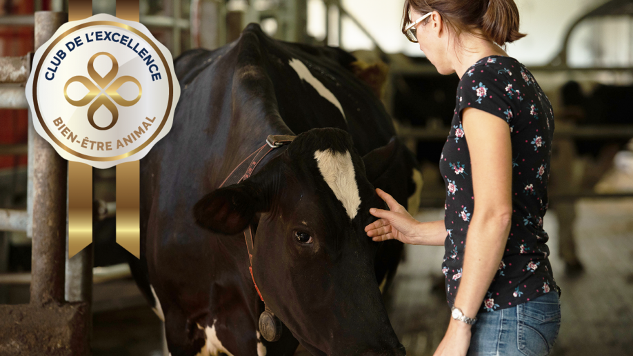Lancement Du Prix Bien Etre Animal Du Club De L Excellence Agropur