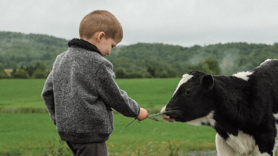 Bien-être animal