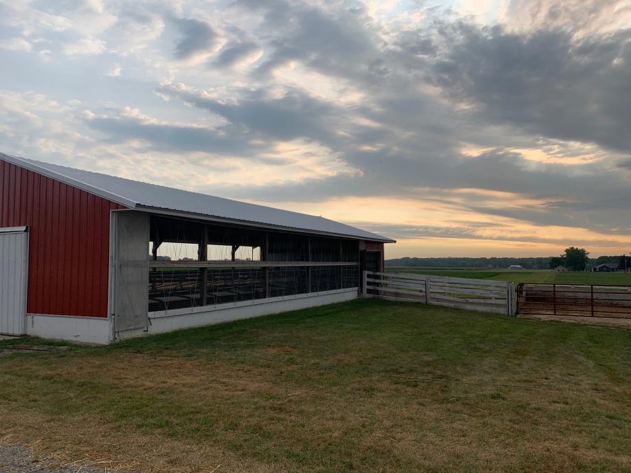 Milk Producer Services - Courla Farm sunrise