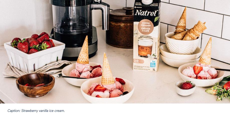 Strawberry Vanilla Ice Cream