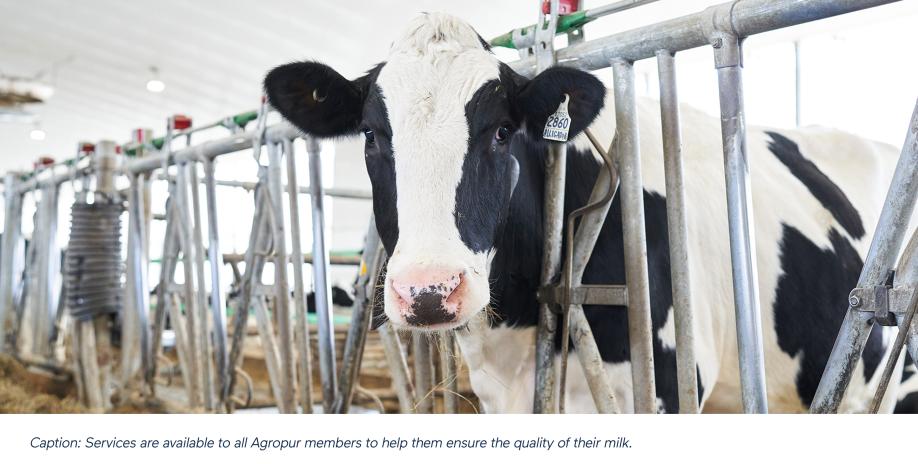 Milk Quality: Help Always at Hand