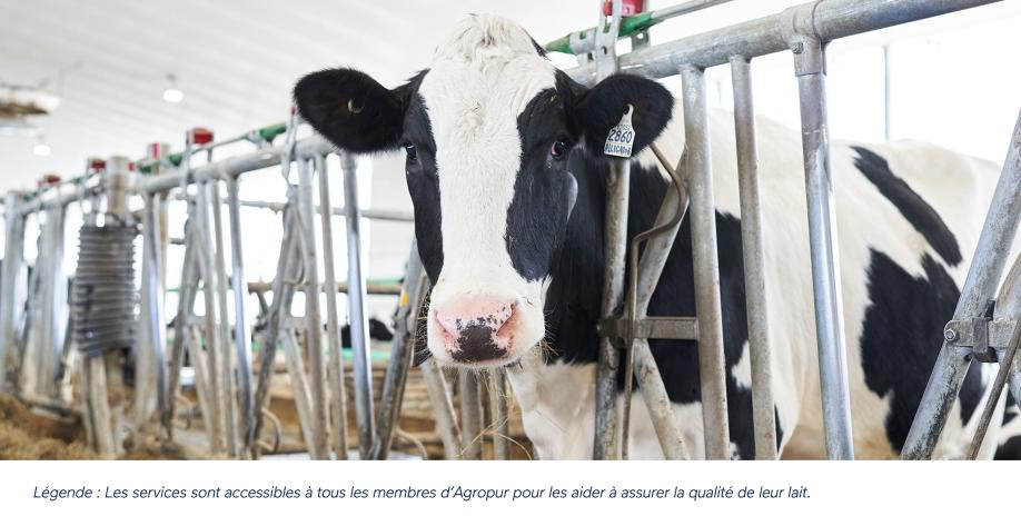 Qualité du lait : de l’aide toujours à portée de main