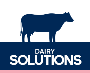 Dairy Solutions