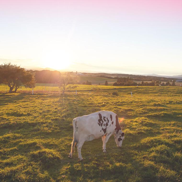 Agropur releases its annual ESG Report