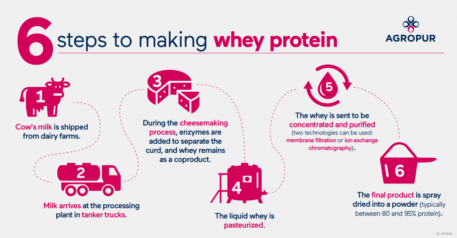 Whey protein shop made from