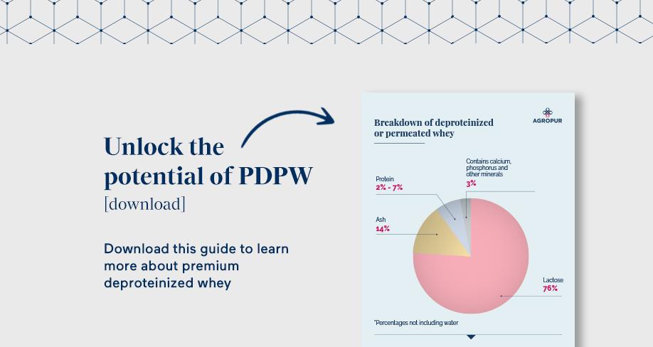 22-1031 Unlock the potential of PDPW download graphic
