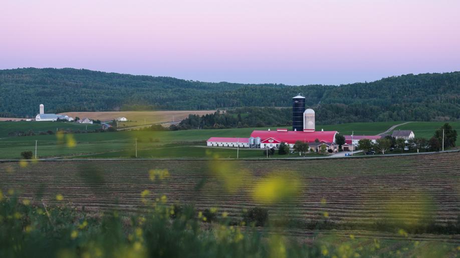 Ferme laitière