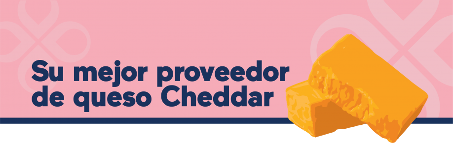 Su mejor proveedorde queso Cheddar