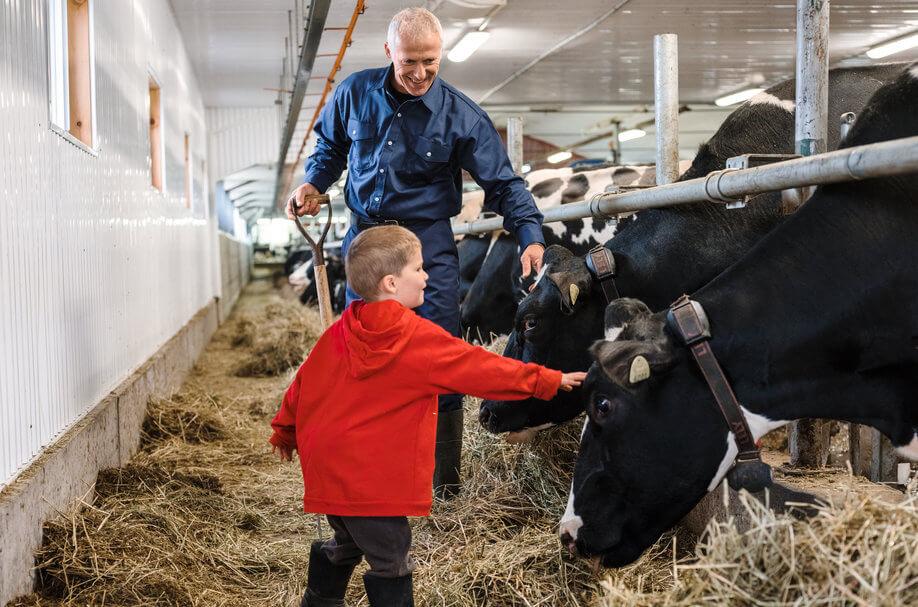 Enfant à la ferme